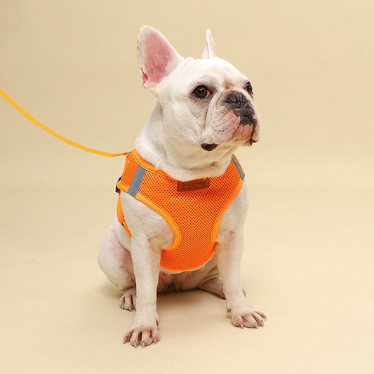 Hundesele med Reflekser I Flere Farver